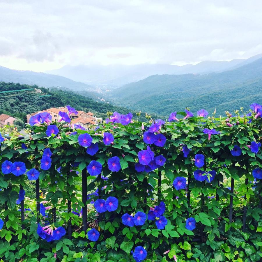 Villa Barca - Luxury Vacation Rentals - Wellness & Pool Casanova Lerrone Luaran gambar