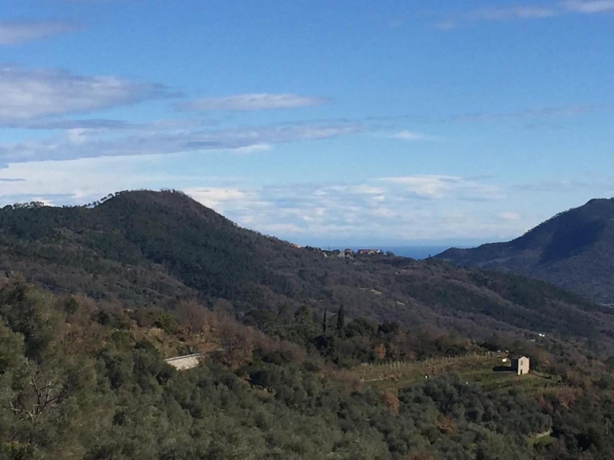 Villa Barca - Luxury Vacation Rentals - Wellness & Pool Casanova Lerrone Luaran gambar
